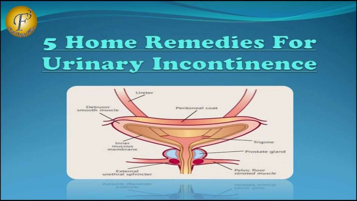 5 HOME REMEDIES FOR URINARY INCONTINENCE II à¤à¤¸à¤à¤¯à¤® à¤®à¥à¤¤à¥?à¤° à¤à¥ 5 à¤à¤°à¥à¤²à¥ ...