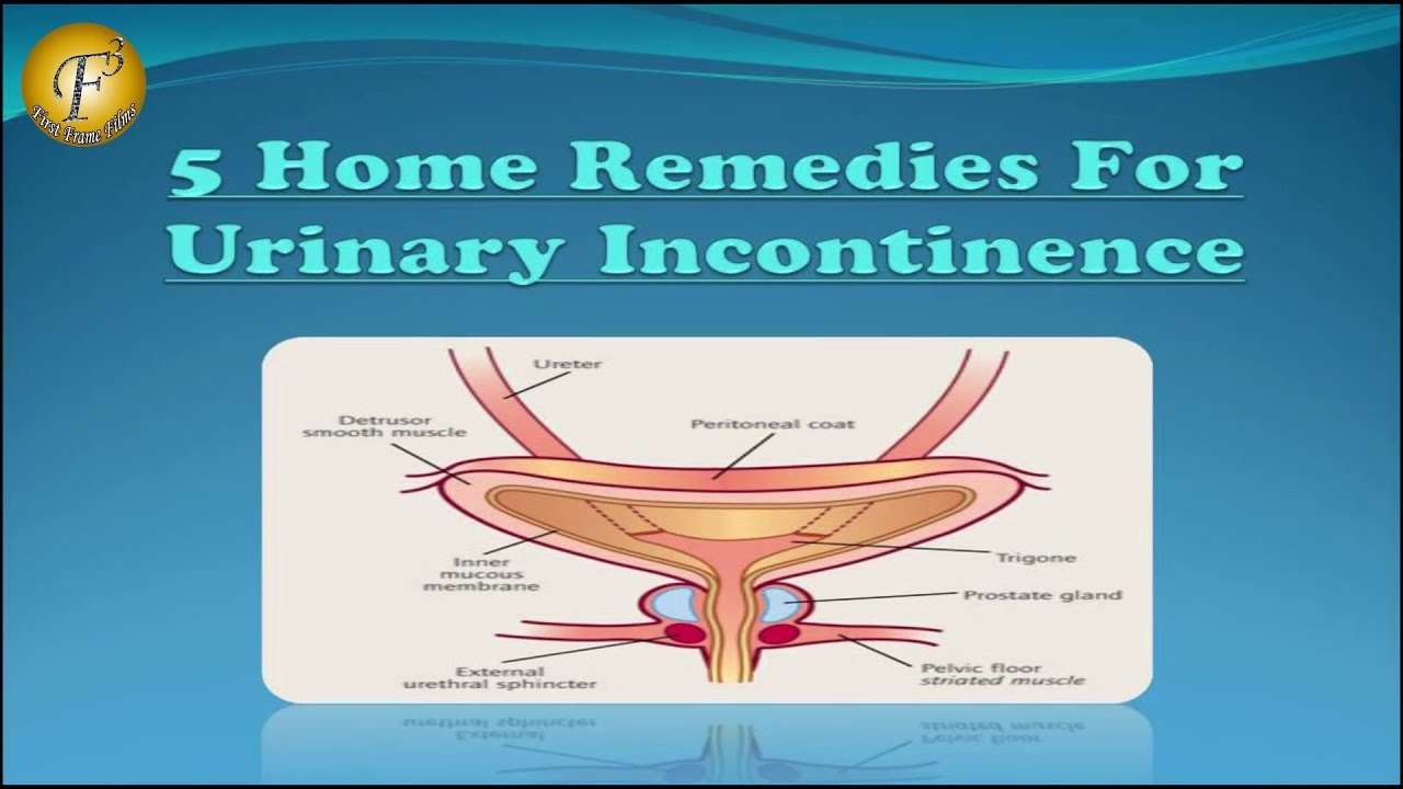 5 HOME REMEDIES FOR URINARY INCONTINENCE II à¤à¤¸à¤à¤¯à¤® à¤®à¥à¤¤à¥?à¤° à¤à¥ ...