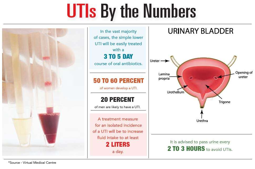 Causes, Prevention, and Treatment of Urinary Tract Infections (UTIs ...