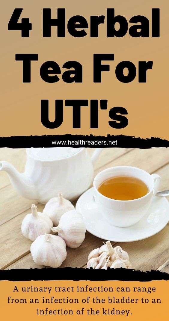 Herbal Tea That Helps You with Urinary Tract Infection ...