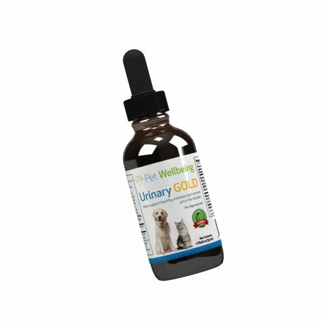 Pet Wellbeing Urinary Gold for Cats Natural Support Feline Tract Health ...