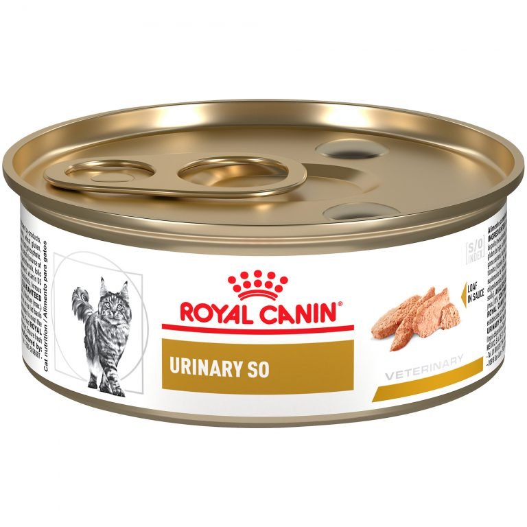 Royal Canin Urinary SO Wet Food Review