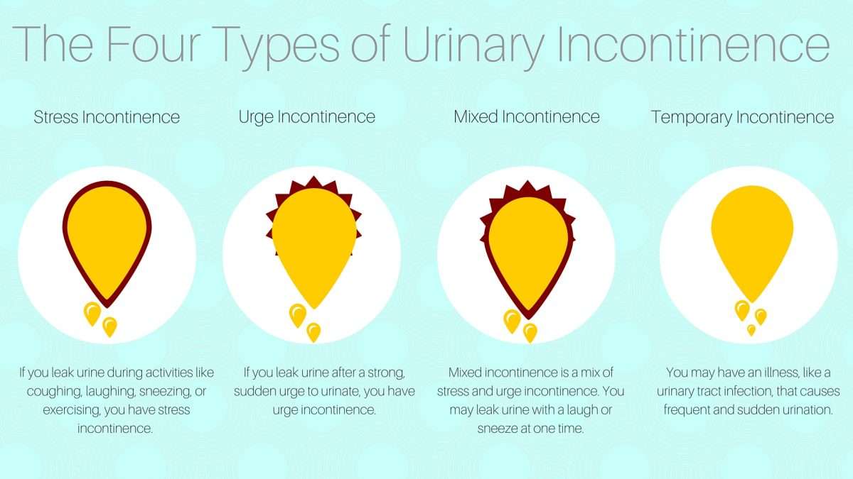 Urinary incontinence Causes, Symptoms and Treatment  Mediologiest