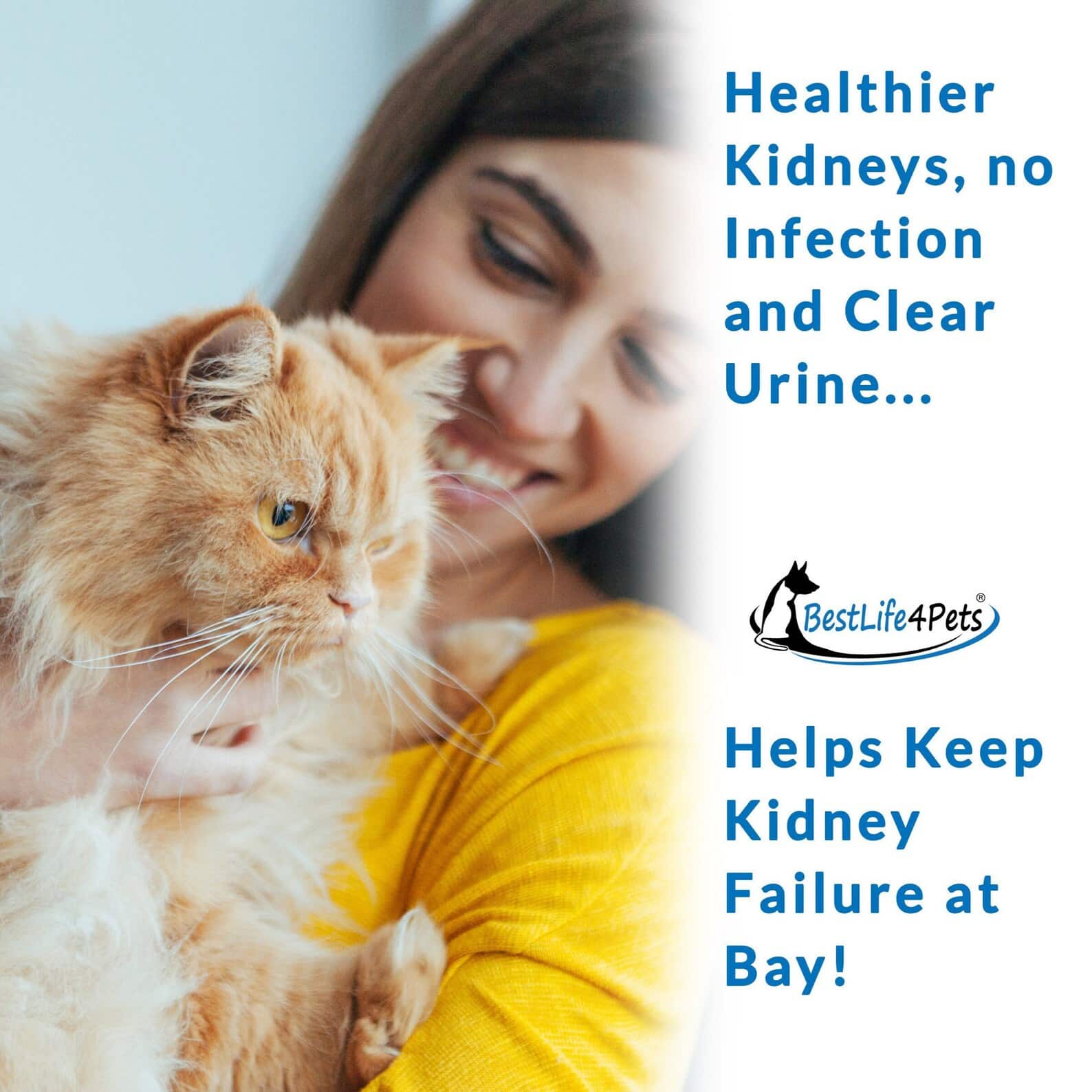 Urinary Tract Infection and Kidney Support Remedy for Cats